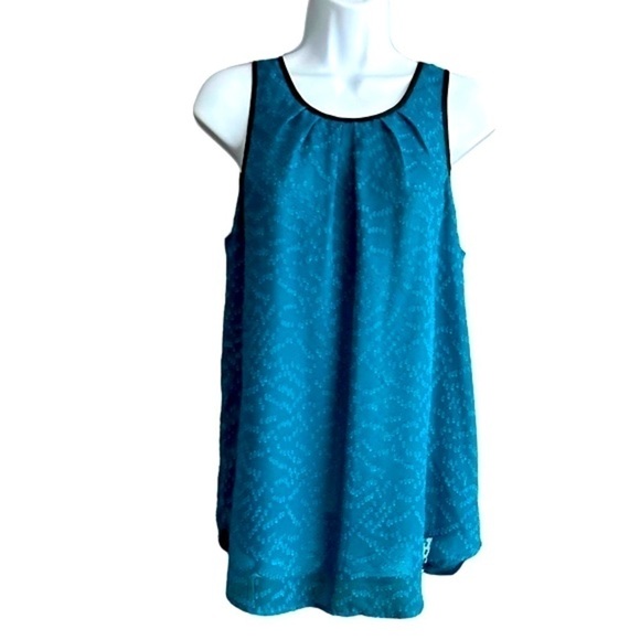 Daniel Rainn | Sheer Sleeveless Blouse - Picture 1 of 9